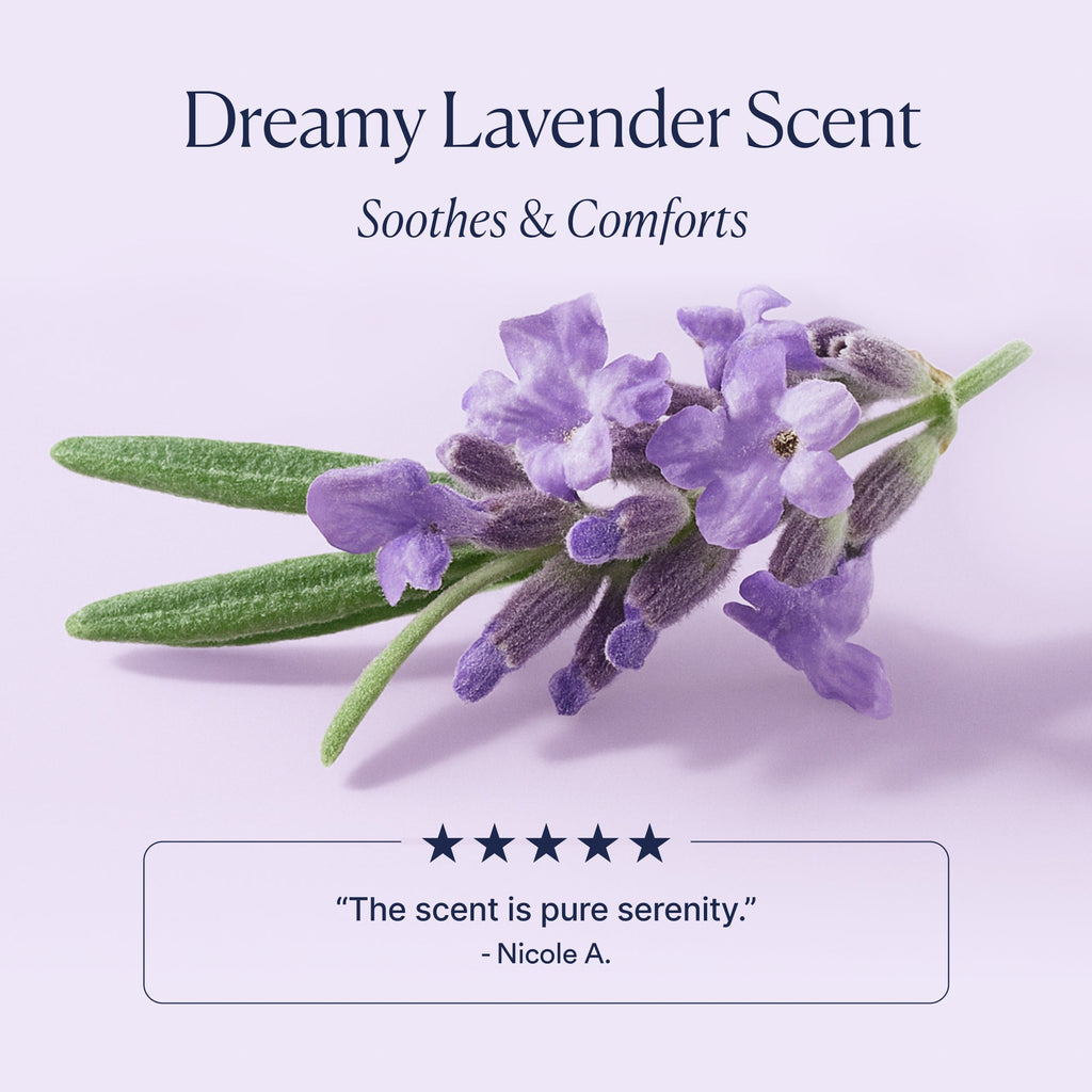Home Essentials Dream Bio-Retinol Body Serum for daily home and personal routines with facial skin and sun care