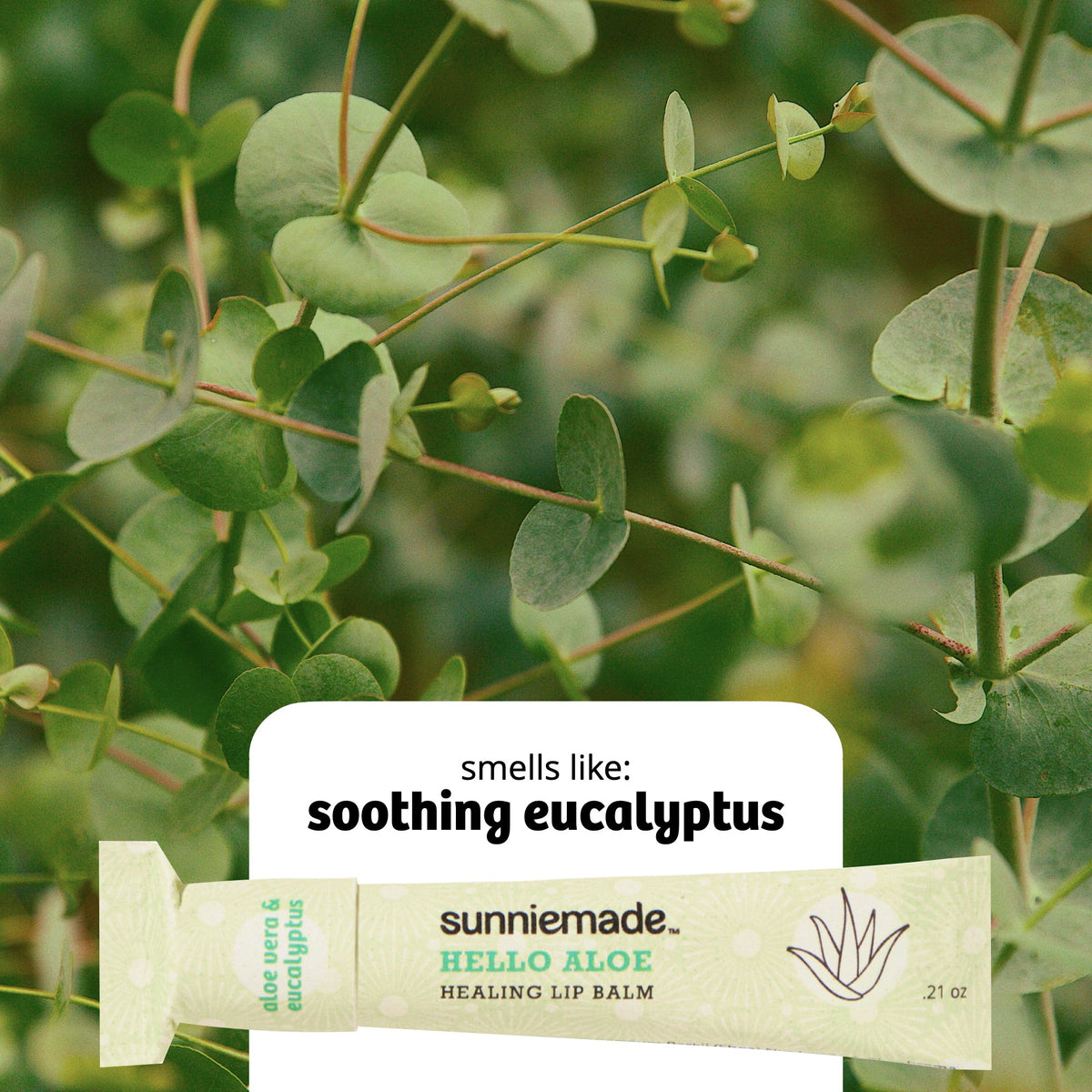 Home Essentials Healing Lip Balm - Hello Aloe for daily home and personal routines with facial skin and sun care