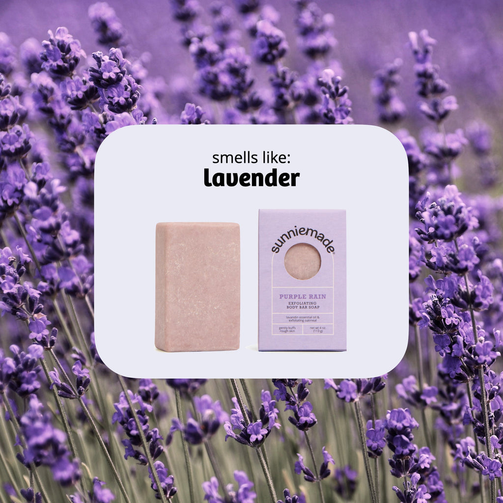 Home Essentials Exfoliating Body Bar Soap - Purple Rain for daily home and personal routines with bath body and hygiene