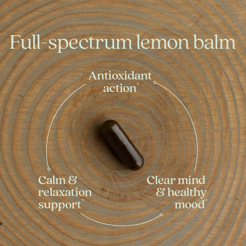 Home Essentials Lemon Balm Force for daily home and personal routines with general everyday essentials