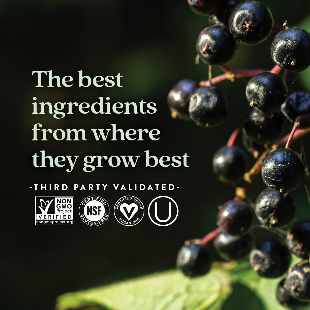 Everyday Home Elderberry Force, for Immune Support for daily home and personal routines with general everyday essentials