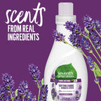 Daily Care Liquid Fabric Softener for daily home and personal routines with general everyday essentials