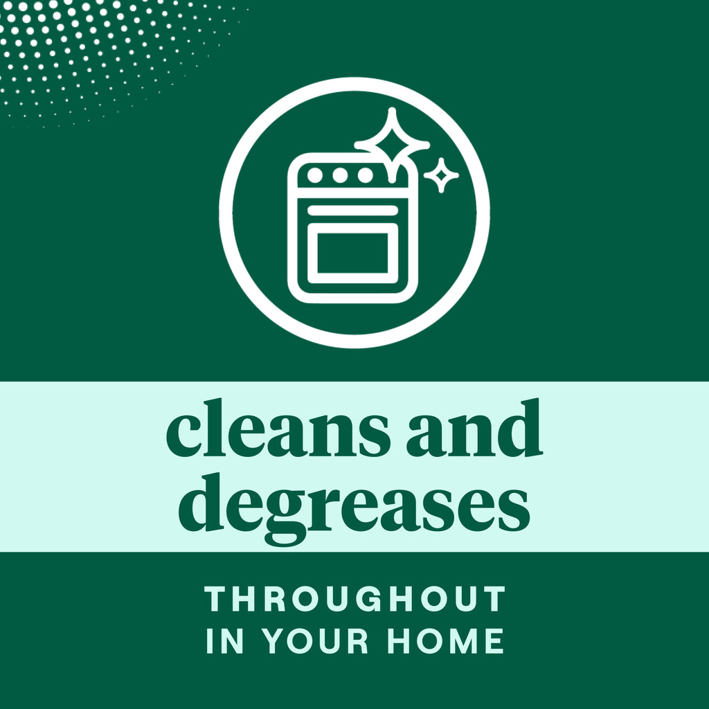 Home Essentials All Purpose Cleaner for daily home and personal routines with cleaning laundry and paper products
