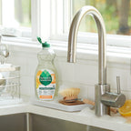 Home Essentials Dish Soap for daily home and personal routines with cleaning laundry and paper products