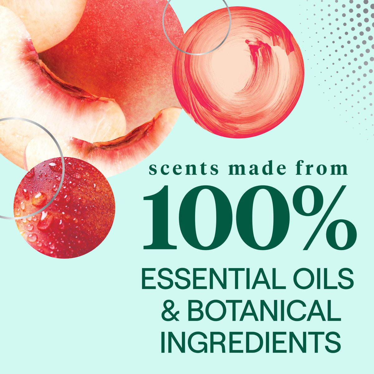 Home Essentials Dish Soap for daily home and personal routines with cleaning laundry and paper products