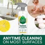 Home Essentials All Purpose Cleaner for daily home and personal routines with cleaning laundry and paper products