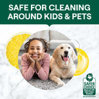 Home Essentials All Purpose Cleaner for daily home and personal routines with cleaning laundry and paper products