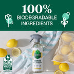 Home Essentials All Purpose Cleaner for daily home and personal routines with cleaning laundry and paper products