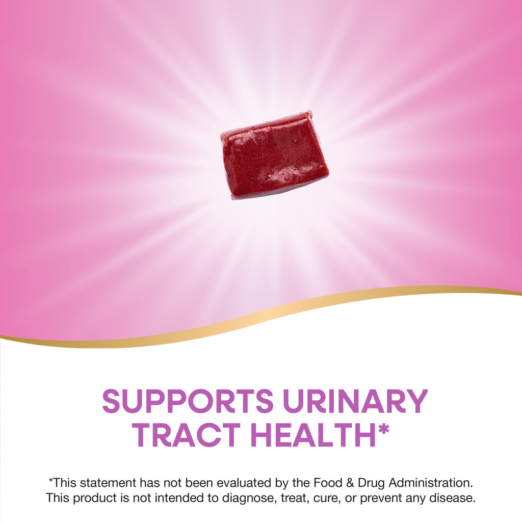 Home Essentials ActiFruit Cranberry Fruit Chew for daily home and personal routines with general everyday essentials