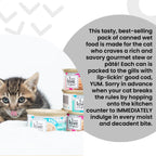 Routine Ready Farm To Sea Feast Cat Wet Food, Pate Variety Pack, 3oz, 12-Pack for daily home and personal routines with pet care treats and accessories