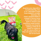 Practical Living Baked and Saucy w Chicken + Sweet Potato Baked Kibble for daily home and personal routines with pet care treats and accessories