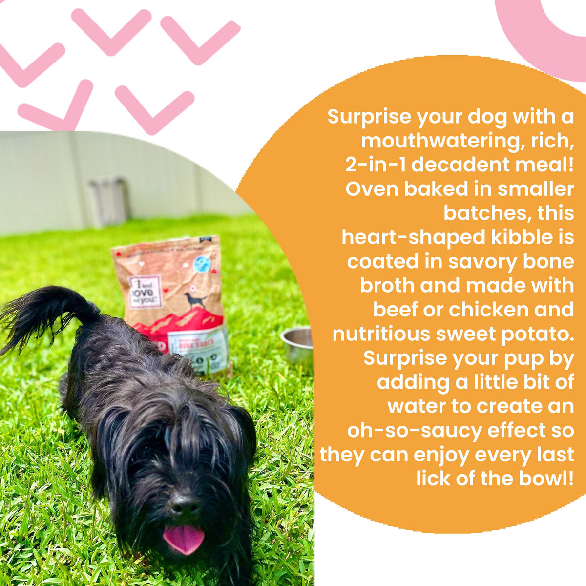 Practical Living Baked and Saucy w Chicken + Sweet Potato Baked Kibble for daily home and personal routines with pet care treats and accessories