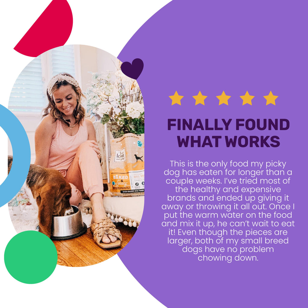 Practical Living Baked and Saucy w Chicken + Sweet Potato Baked Kibble for daily home and personal routines with pet care treats and accessories