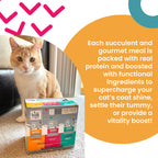 Home Essentials Feed Meow Variety Pack Grain-included Chunks In Gravy Wet Cat Food for daily home and personal routines with pet care treats and accessories