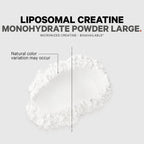 Daily Care Liposomal Creatine Monohydrate Large for daily home and personal routines with general everyday essentials
