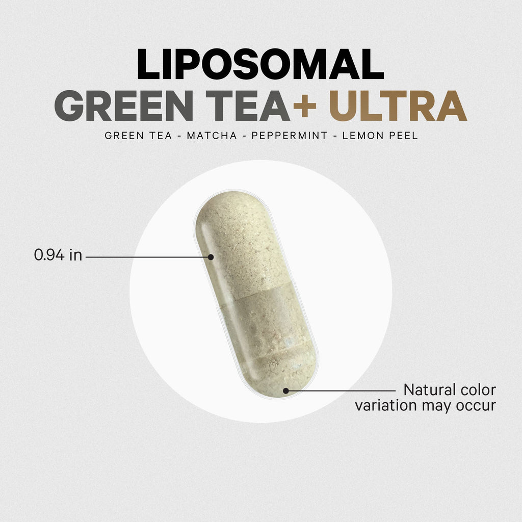 Home Essentials Liposomal Green Tea+ Ultra for daily home and personal routines with cookware food storage and kitchen tools