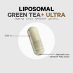 Home Essentials Liposomal Green Tea+ Ultra for daily home and personal routines with cookware food storage and kitchen tools