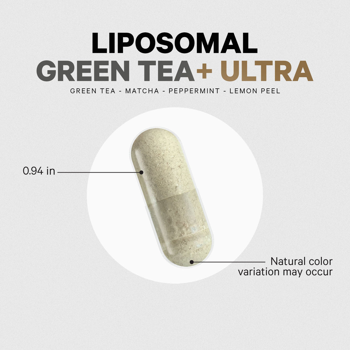Home Essentials Liposomal Green Tea+ Ultra for daily home and personal routines with cookware food storage and kitchen tools