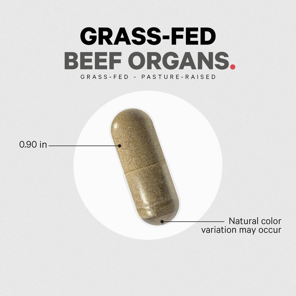 Everyday Home Beef Organs for daily home and personal routines with general everyday essentials