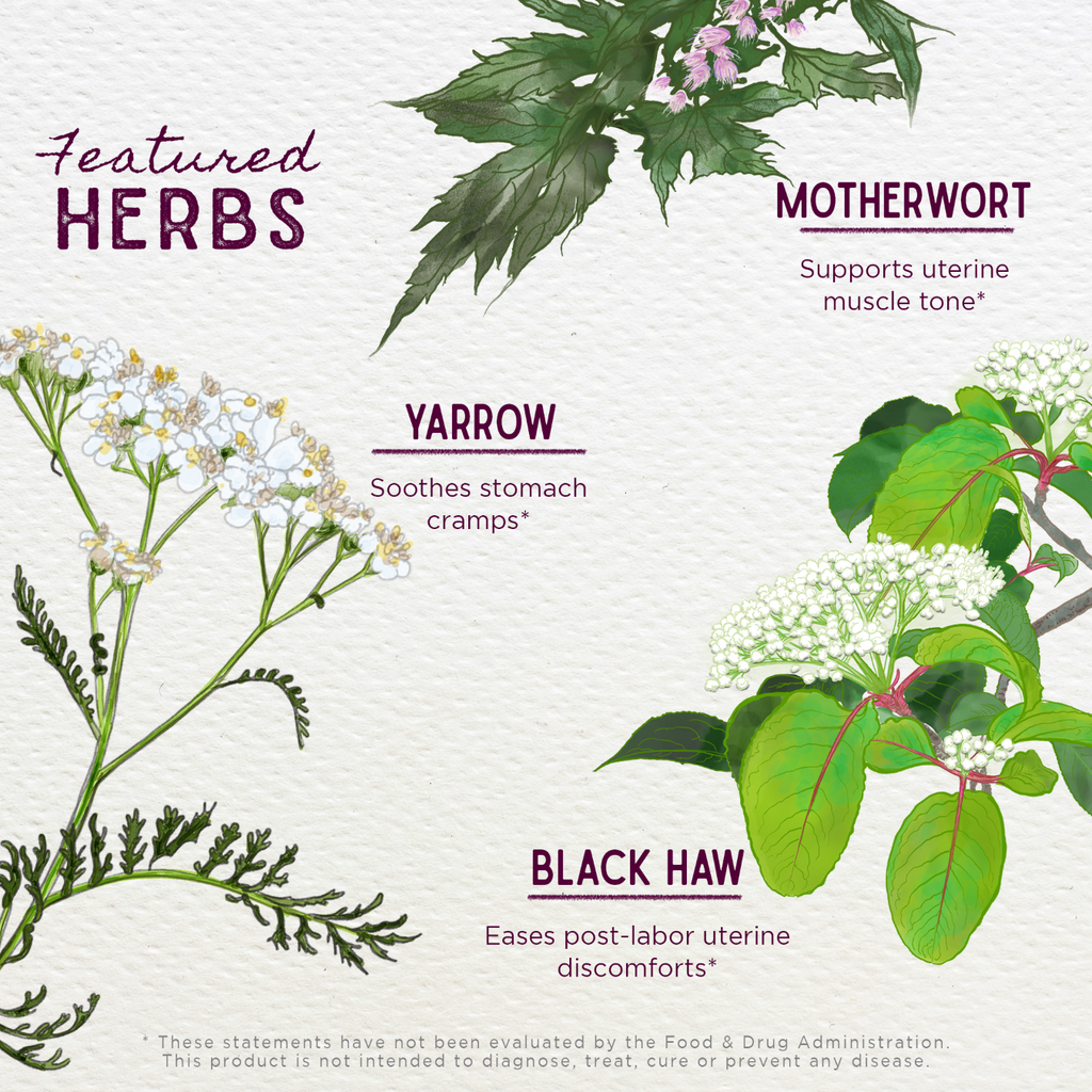 Home Essentials AfterEase Herbal Supplement - For Afterbirth Contractions - Herbal Supplement for daily home and personal routines with general everyday essentials