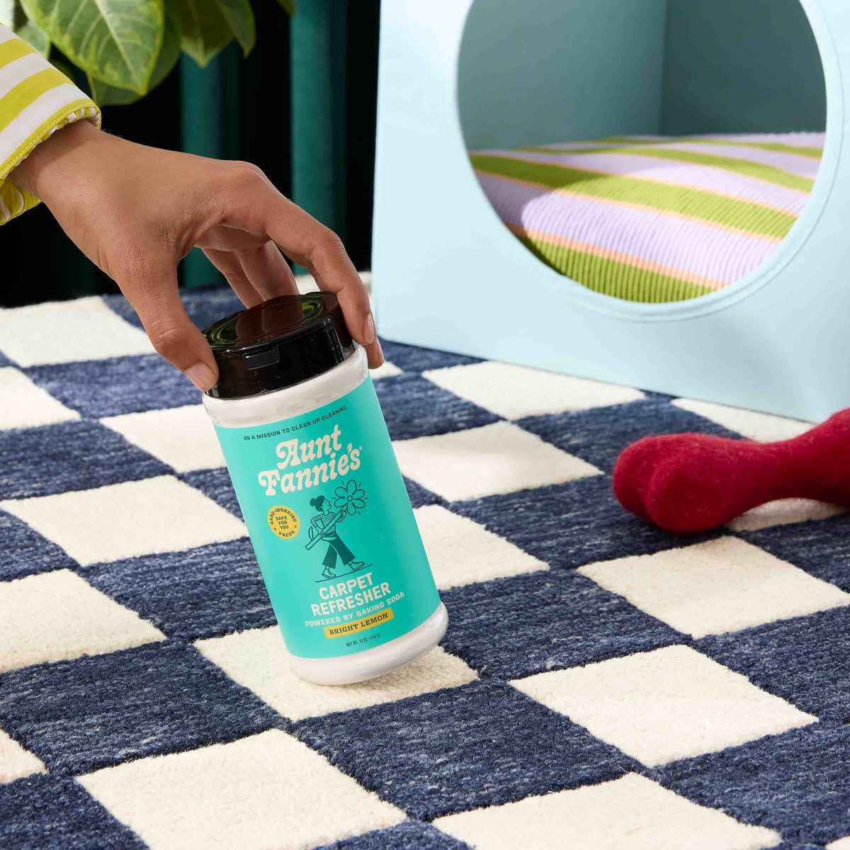 Everyday Home Carpet Refresher for daily home and personal routines with cleaning laundry and paper products