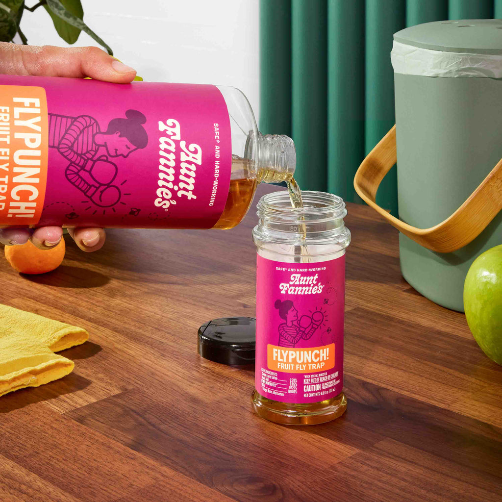 Practical Living FlyPunch Fruit Fly Trap Refill for daily home and personal routines with general everyday essentials