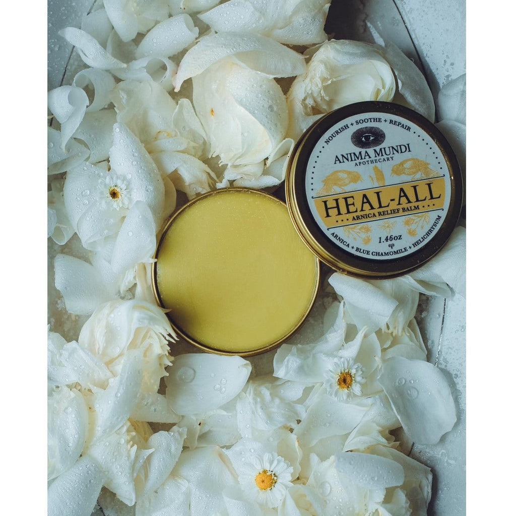 Daily Care HEAL-ALL Arnica Relief Balm, Nourish, Soothe + Repair for daily home and personal routines with general everyday essentials