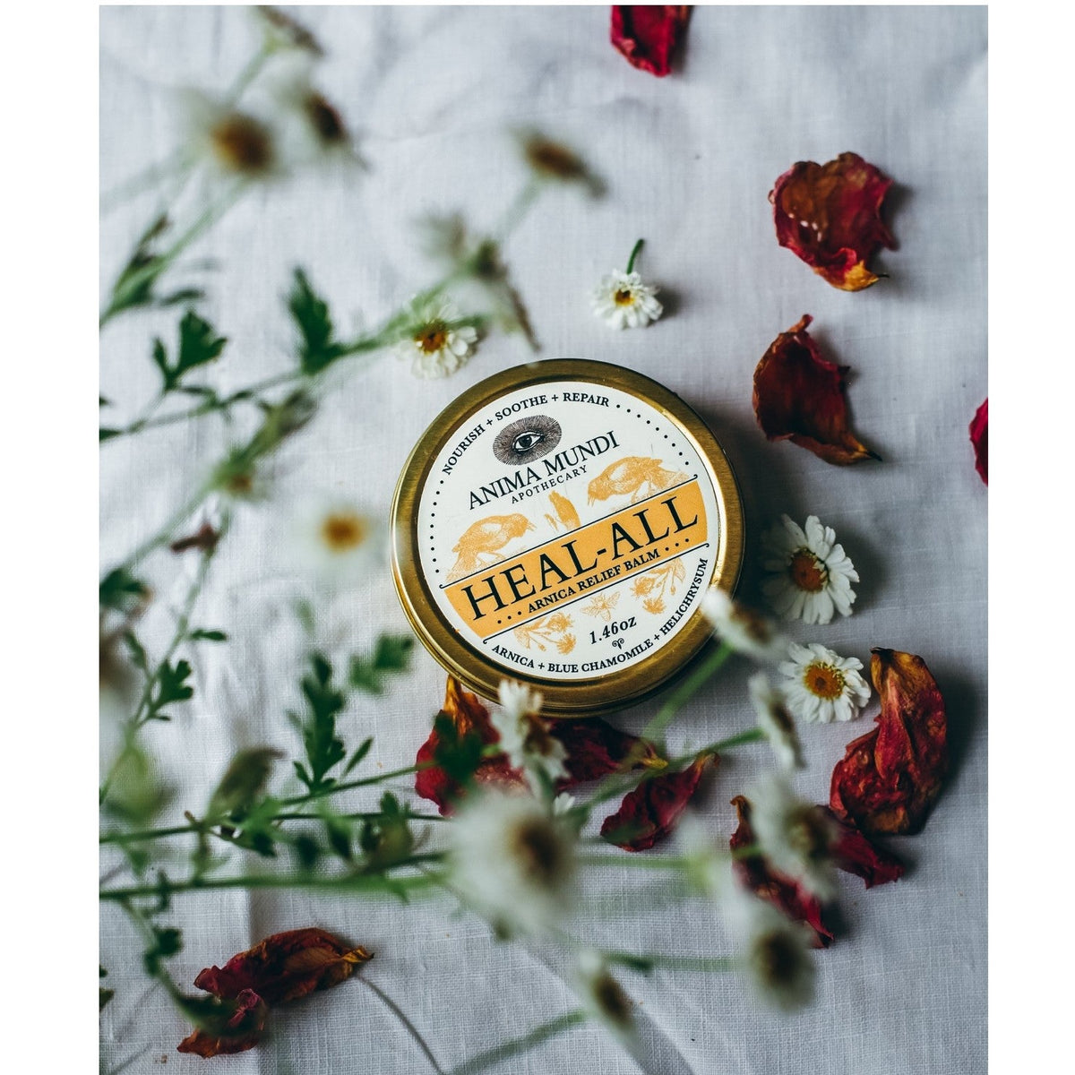 Daily Care HEAL-ALL Arnica Relief Balm, Nourish, Soothe + Repair for daily home and personal routines with general everyday essentials
