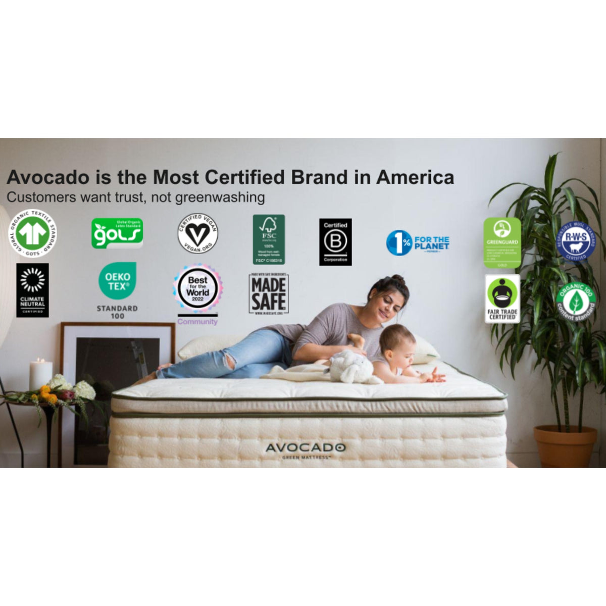 Practical Living Green Pillow, Standard Shape for daily home and personal routines with general everyday essentials