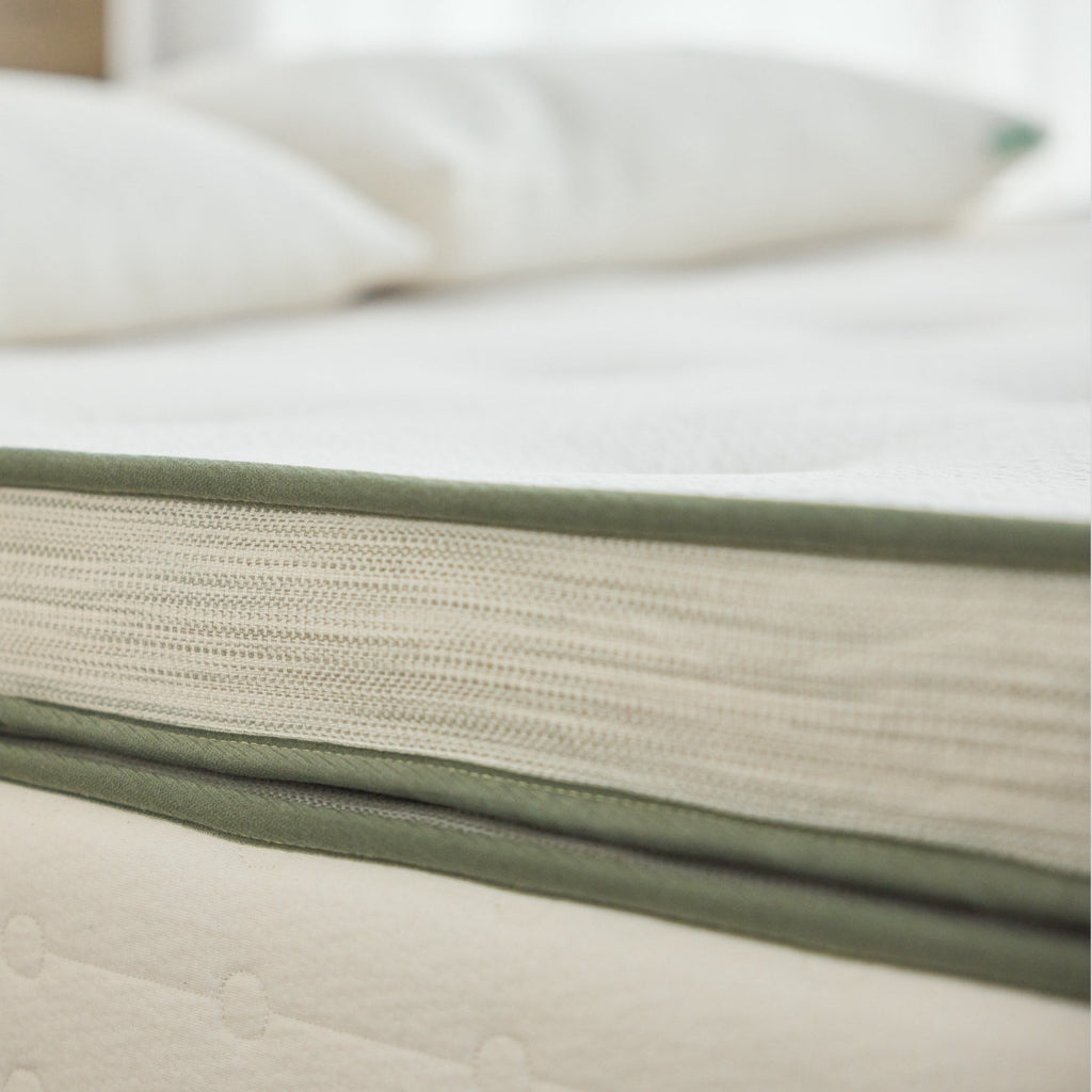 Home Essentials Avocado Green Ultra Plush Mattress for daily home and personal routines with general everyday essentials