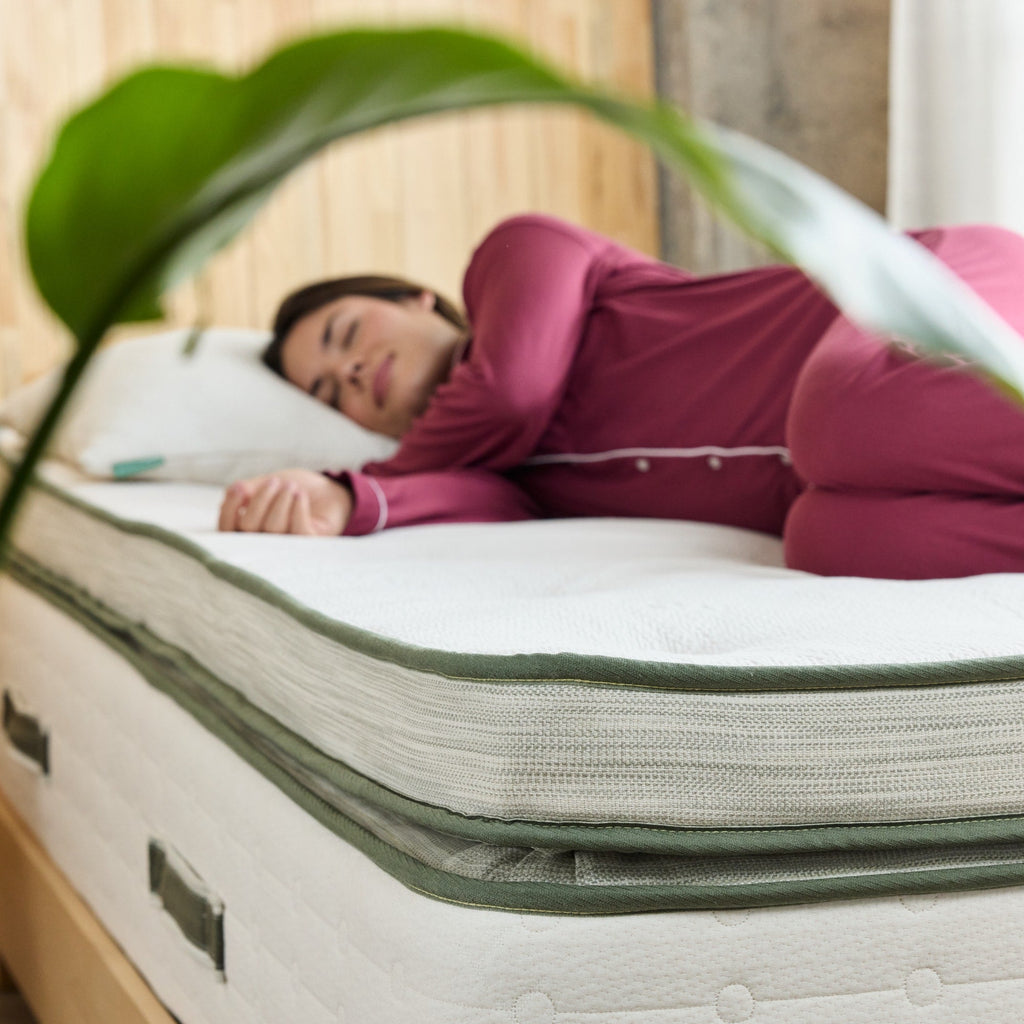 Home Essentials Avocado Green Ultra Plush Mattress for daily home and personal routines with general everyday essentials