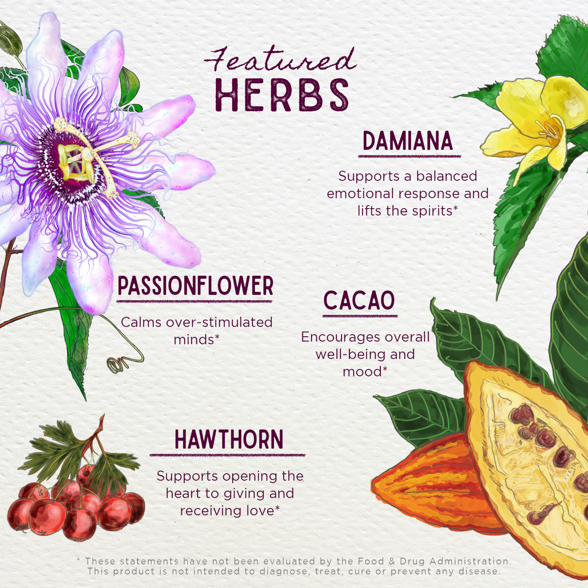 Practical Living Liquid Bliss Peace - Herbal Supplement for daily home and personal routines with general everyday essentials