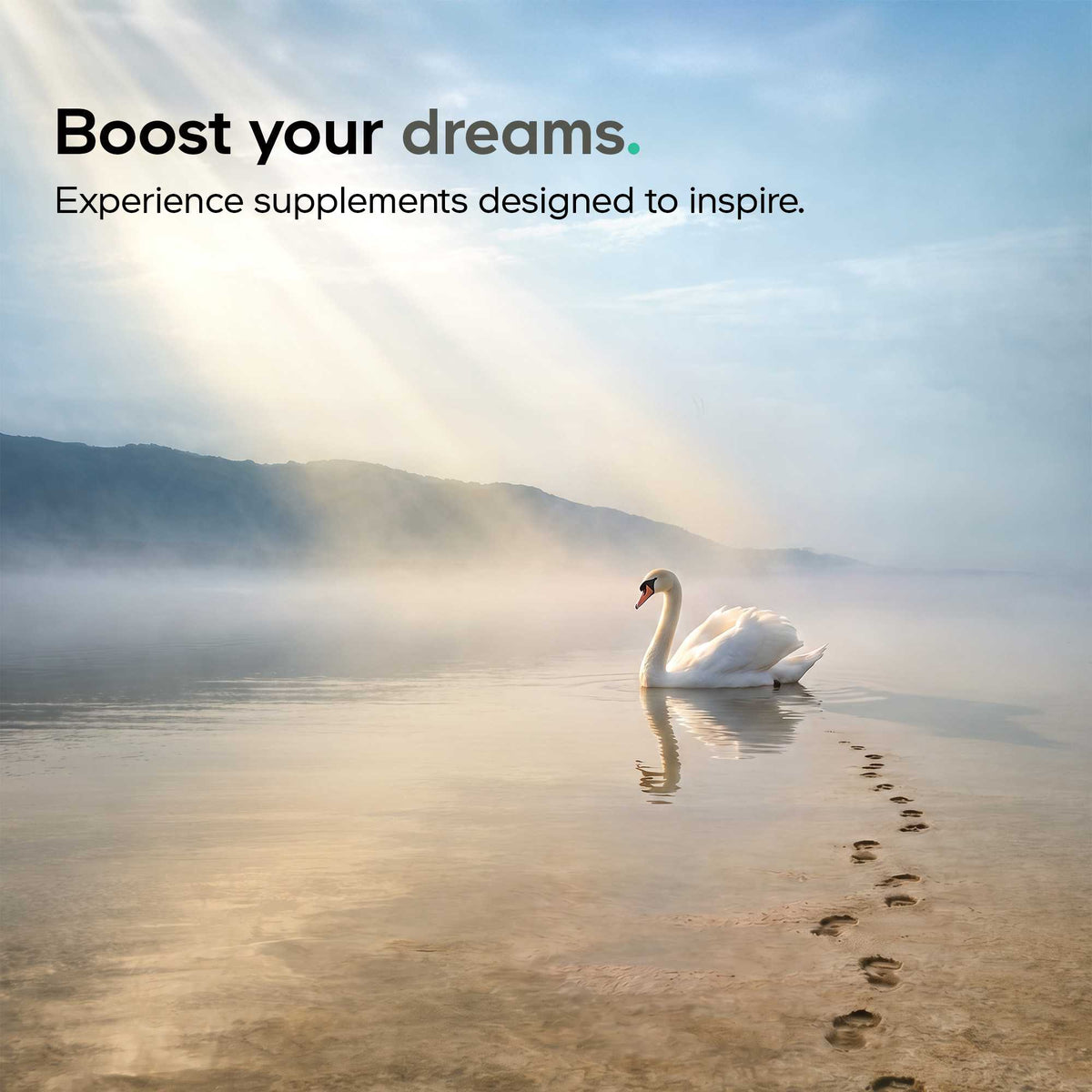 Routine Ready Liposomal Apigenin Capsules for daily home and personal routines with general everyday essentials