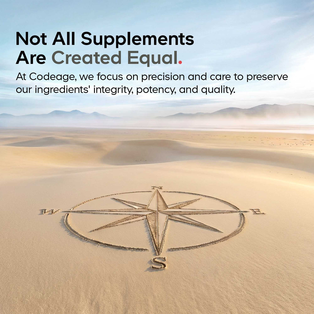 Routine Ready Liposomal Apigenin Capsules for daily home and personal routines with general everyday essentials
