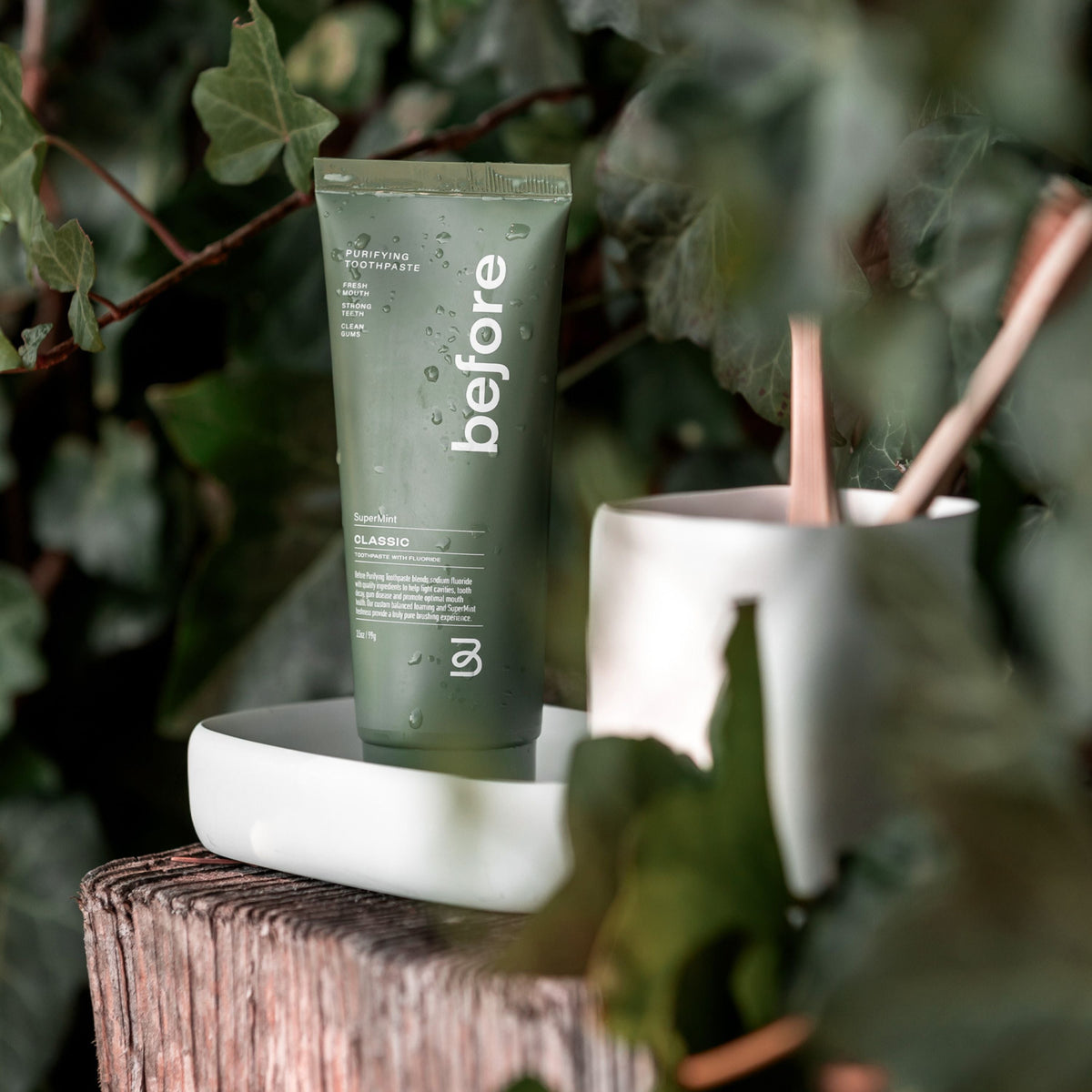 Routine Ready Classic Purifying Toothpaste w Fluoride, Anti-Cavity for daily home and personal routines with oral care