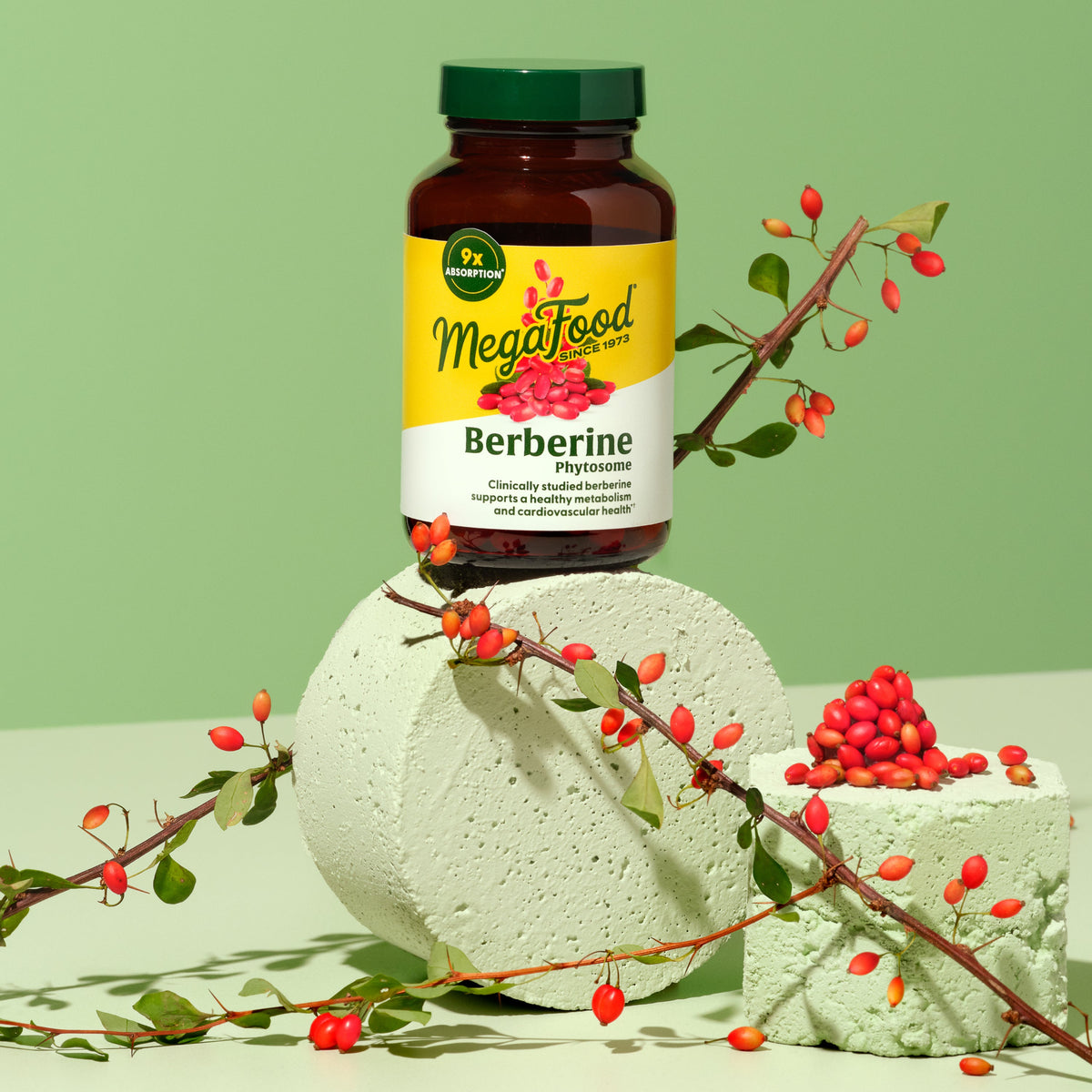 Daily Care Berberine Phytosome for daily home and personal routines with general everyday essentials