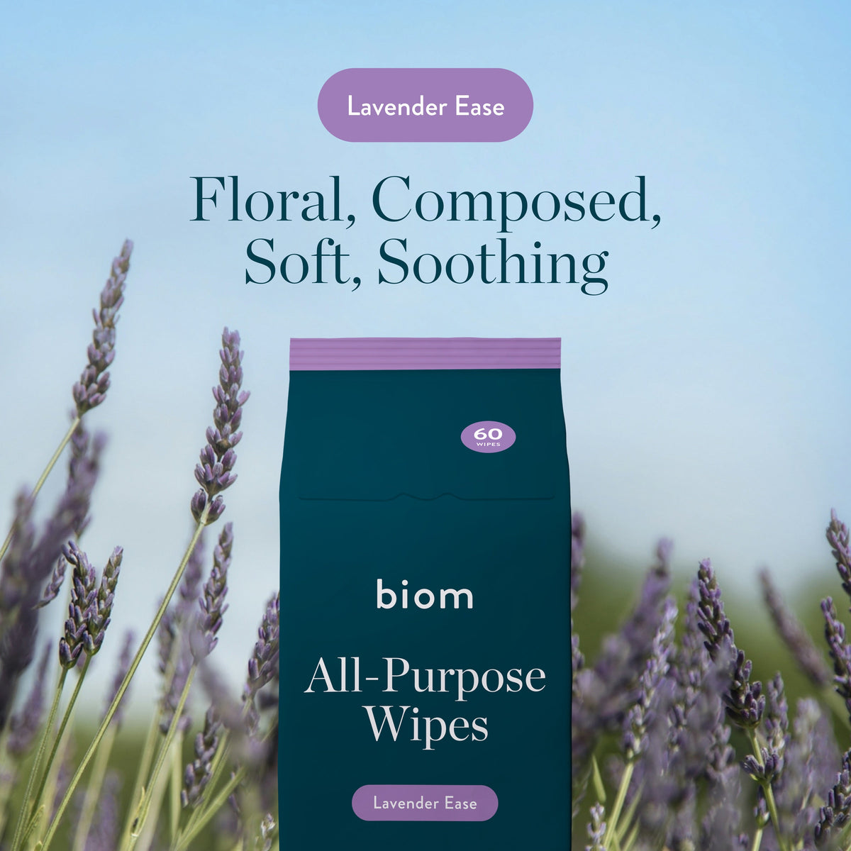 Daily Care All-Purpose Wipe Refills for daily home and personal routines with cleaning laundry and paper products