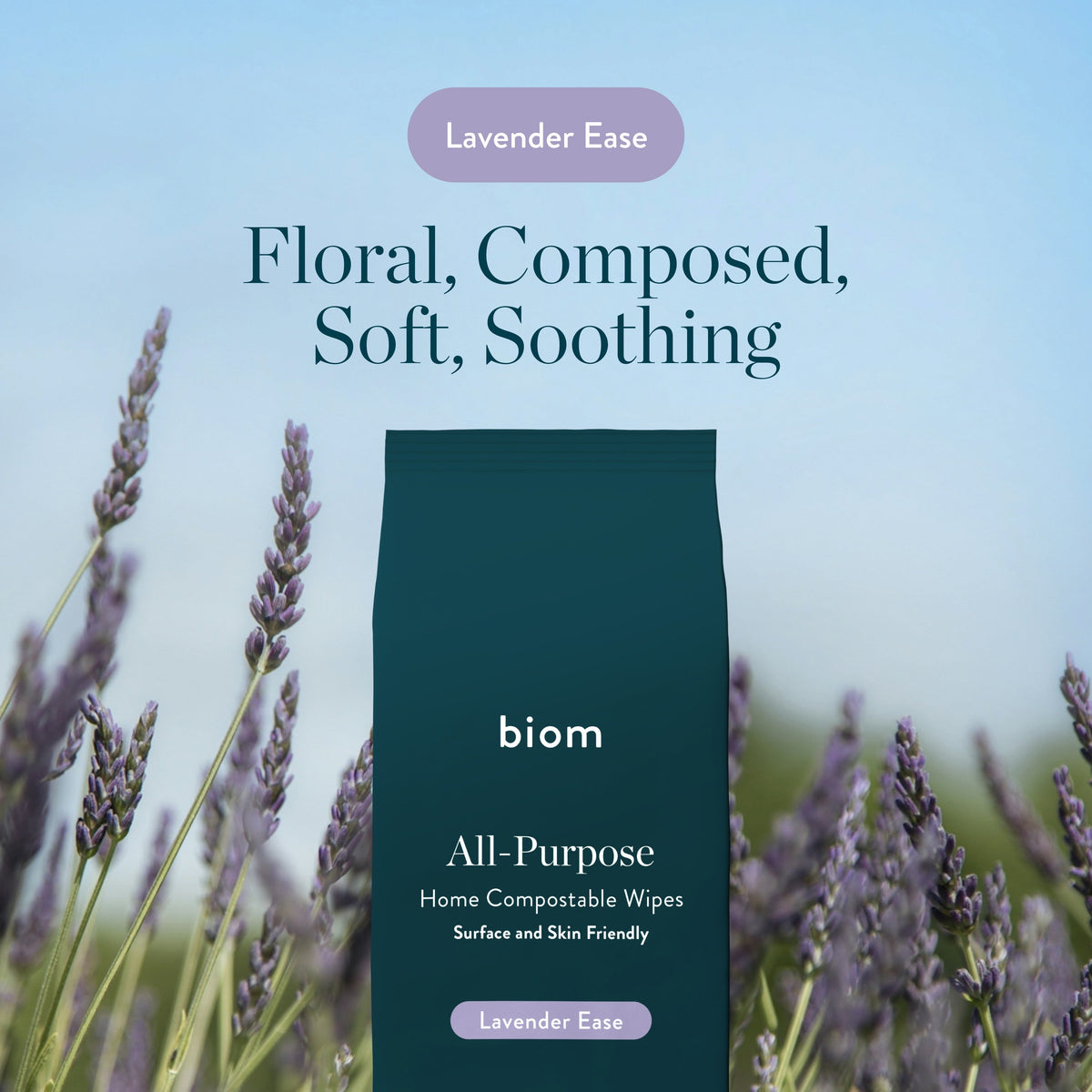 Daily Care All-Purpose Wipe Refills for daily home and personal routines with cleaning laundry and paper products