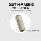 Routine Ready Biotin Marine Collagen Capsules for daily home and personal routines with general everyday essentials