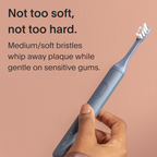 Daily Care Brush Replacement Heads for daily home and personal routines with oral care