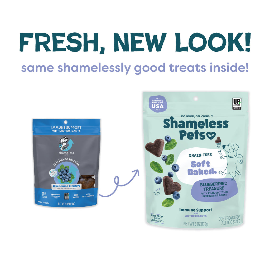 Practical Living Blueberried Treasure Soft-Baked Dog Treats for daily home and personal routines with pet care treats and accessories
