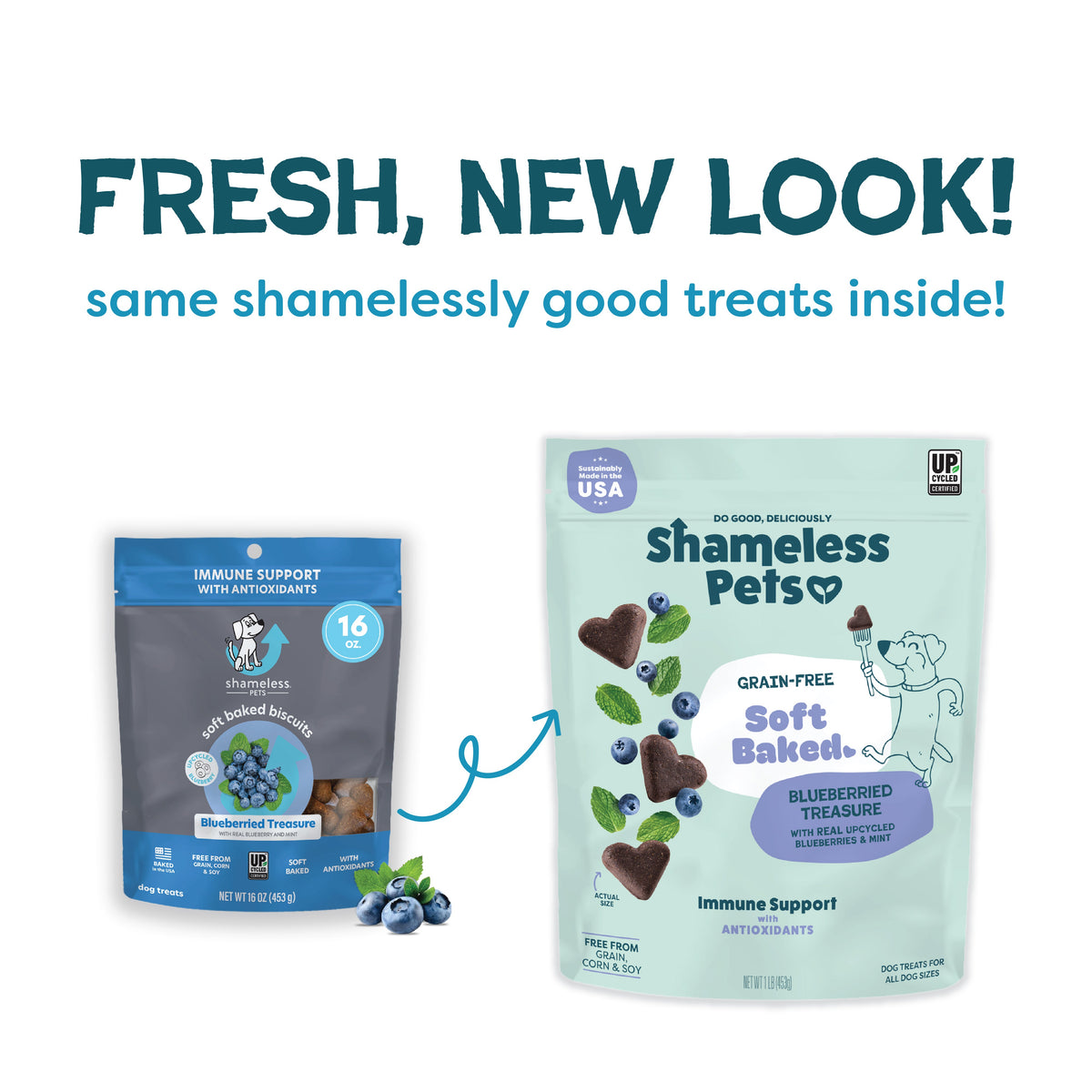 Practical Living Blueberried Treasure Soft-Baked Dog Treats for daily home and personal routines with pet care treats and accessories