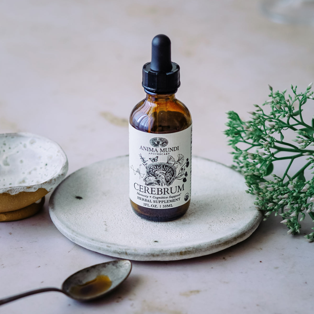 Routine Ready CEREBRUM Tonic, Memory + Energy for daily home and personal routines with general everyday essentials