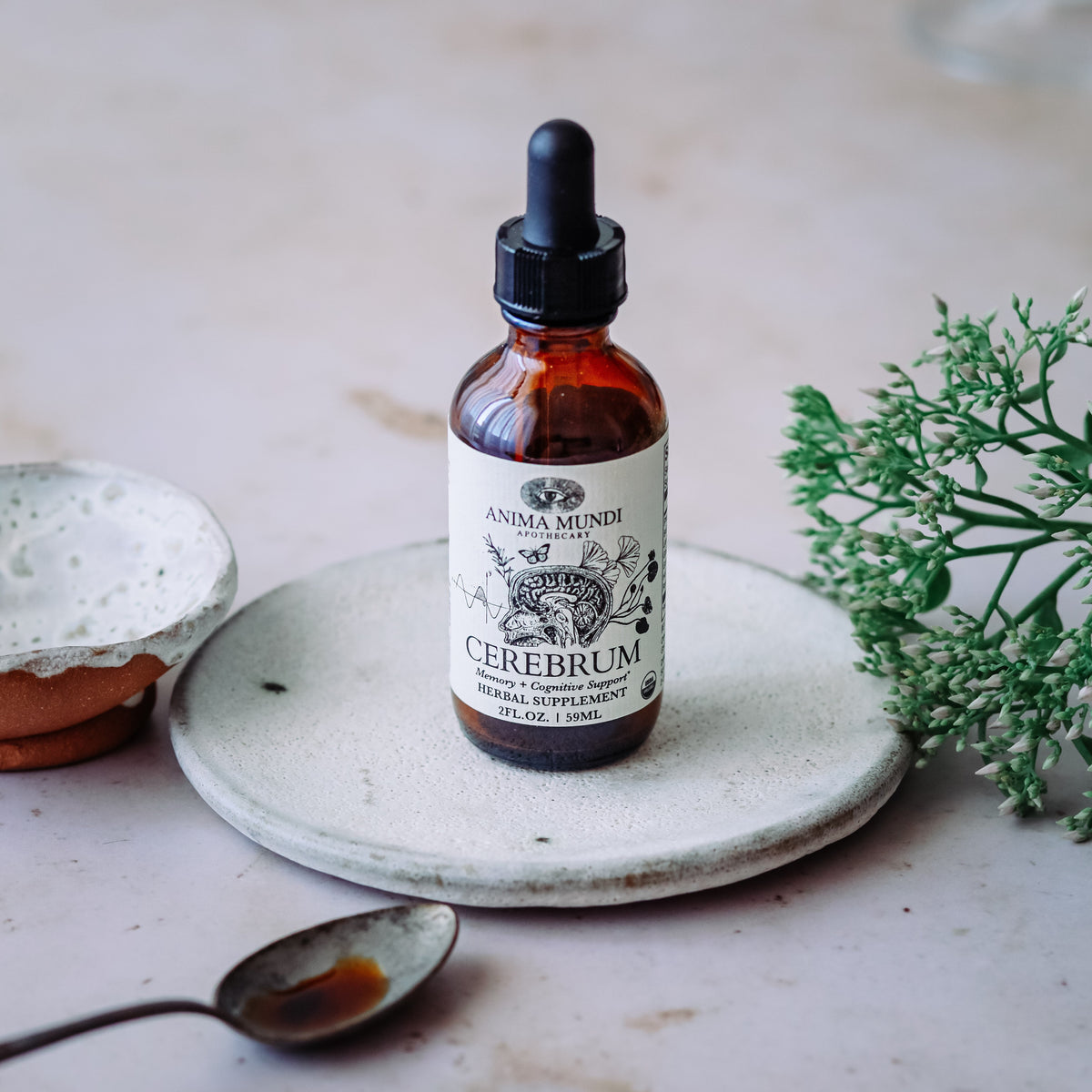 Routine Ready CEREBRUM Tonic, Memory + Energy for daily home and personal routines with general everyday essentials
