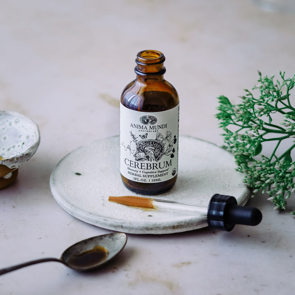 Routine Ready CEREBRUM Tonic, Memory + Energy for daily home and personal routines with general everyday essentials