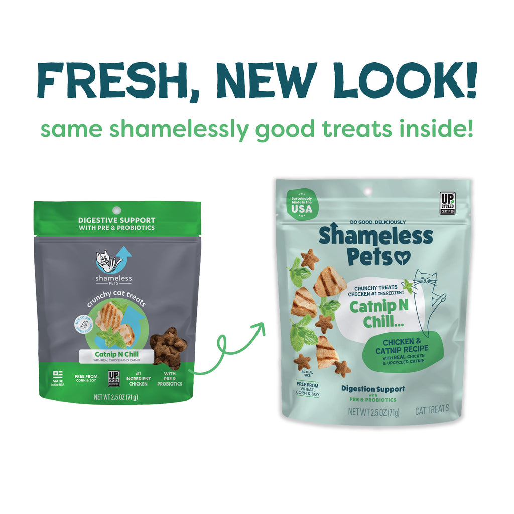 Routine Ready Catnip N Chill Crunchy Cat Treats for daily home and personal routines with pet care treats and accessories