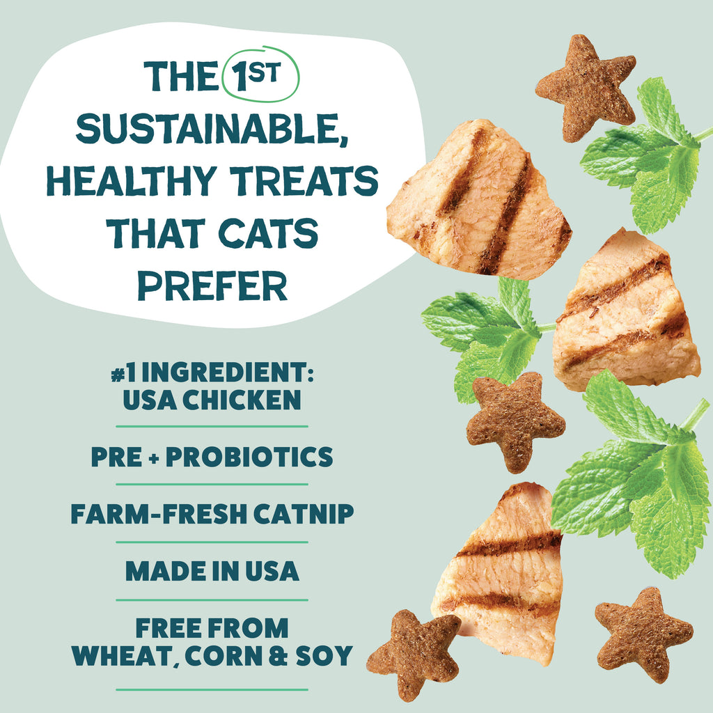 Routine Ready Catnip N Chill Crunchy Cat Treats for daily home and personal routines with pet care treats and accessories