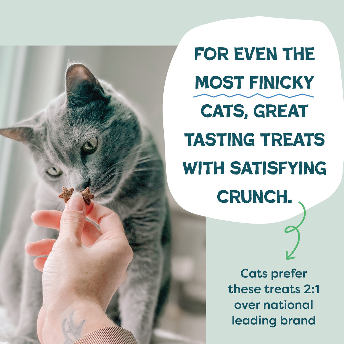 Routine Ready Catnip N Chill Crunchy Cat Treats for daily home and personal routines with pet care treats and accessories