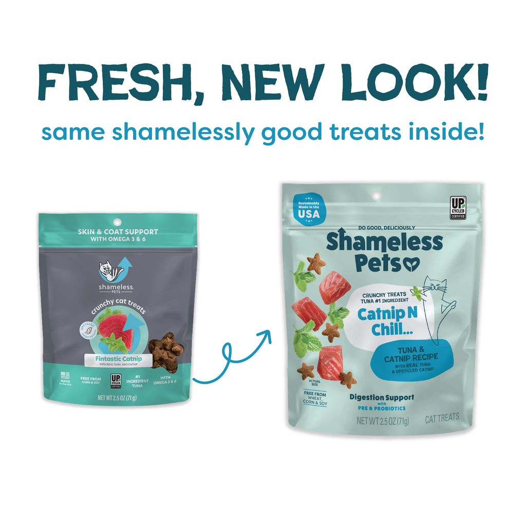 Everyday Home Fintastic Catnip for daily home and personal routines with pet care treats and accessories