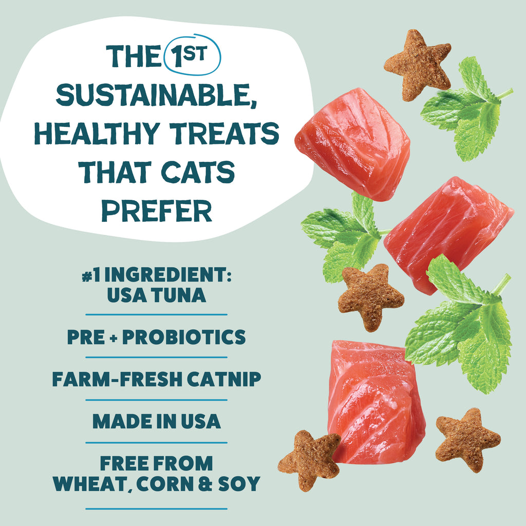 Everyday Home Fintastic Catnip for daily home and personal routines with pet care treats and accessories